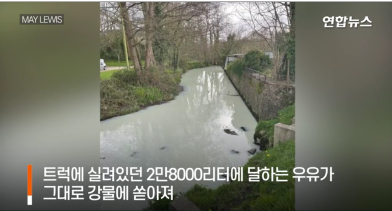 [영상] 우유가 기가막혀… 트럭 사고 2만8천리터 우유 흘러