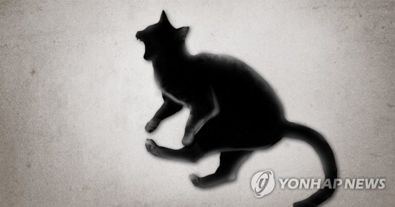 고양이가 고압선 건드려…부천 2개 아파트 2천세대 정전