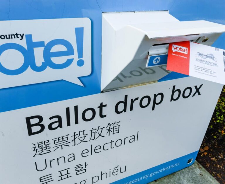 귀넷, 한국어 포함 4개국 언어 선거자료 제공한다