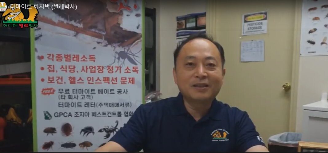 썬박