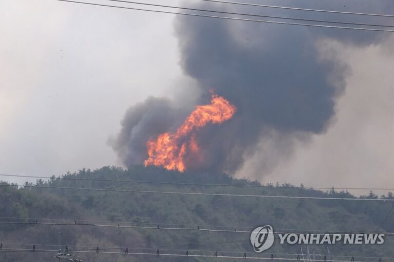 강풍에 진화 난항…홍성·대전·당진 산불 이틀밤 넘긴다(종합) 강풍에 진화 난항…홍성·대전·당진 산불 이틀밤 넘긴다(종합)