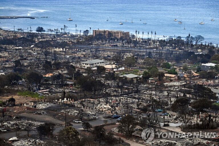 [영상] 하와이 “산불 경보 안 울려…연기 맡고 탈출”