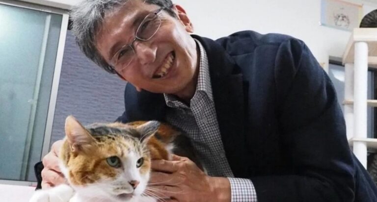 치즈냥·삼색냥 고양이 털색깔 비밀 풀렸다