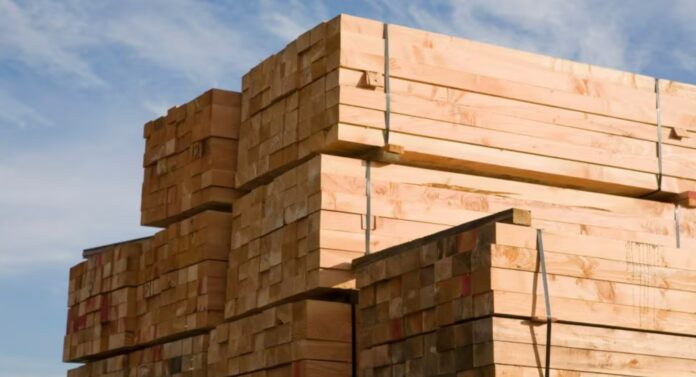 목재 기업 합병